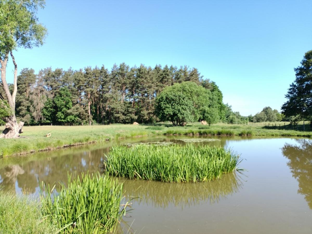 Smocze Ranczo 2 Vila Ośno Lubuskie Exterior foto