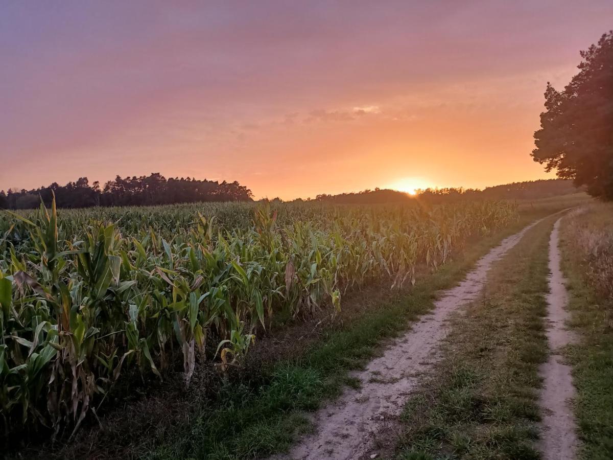 Smocze Ranczo 2 Vila Ośno Lubuskie Exterior foto
