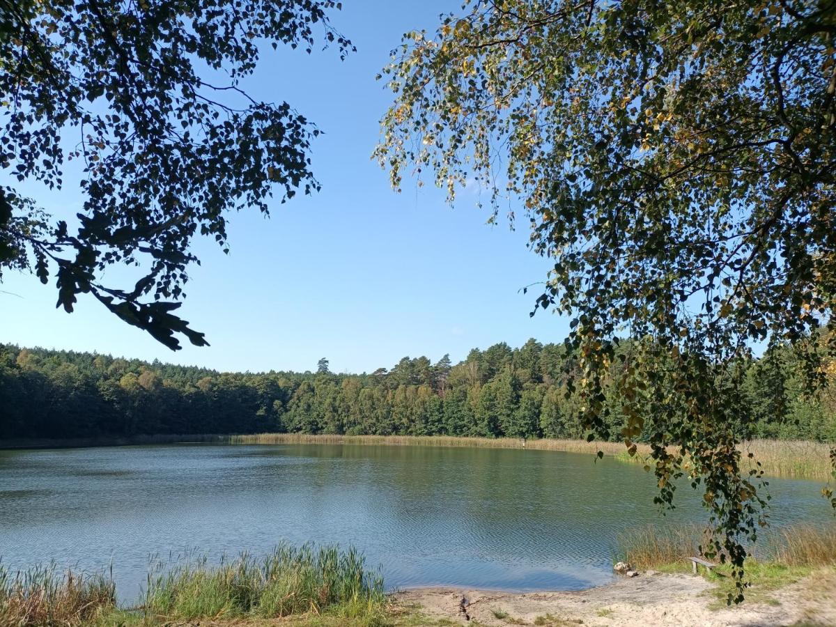 Smocze Ranczo 2 Vila Ośno Lubuskie Exterior foto