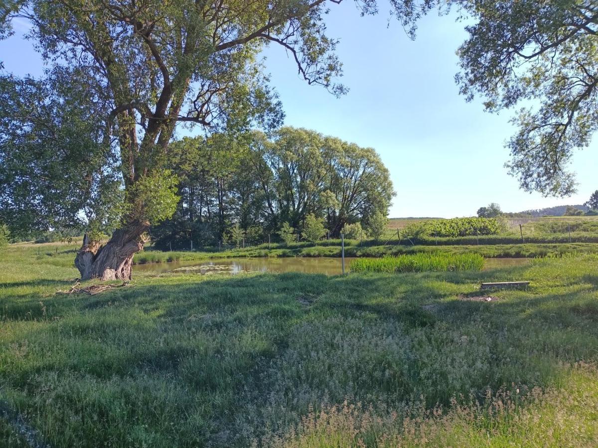 Smocze Ranczo 2 Vila Ośno Lubuskie Exterior foto